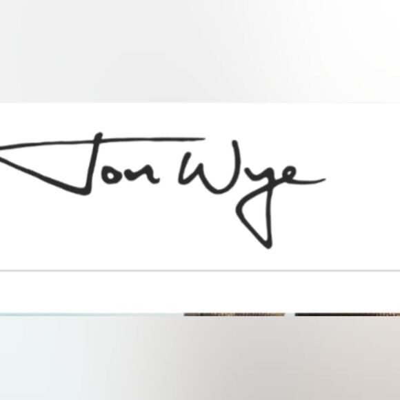 Jon Wye Vampire Cats Small Clutch/Crossbody 😺 - Picture 5 of 16